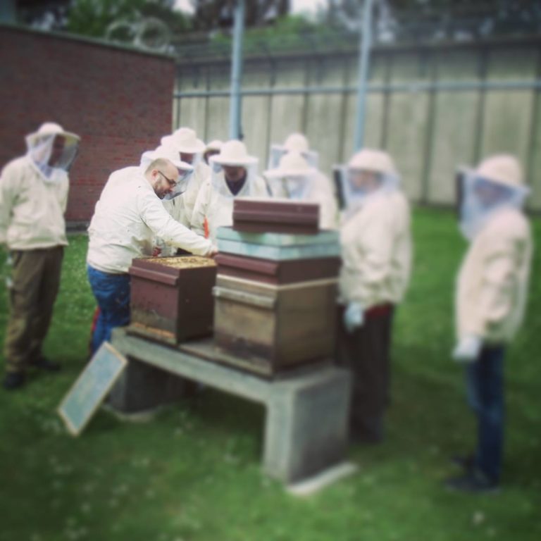 Kasseler Stadthonig – Naturerlebnis Biene, Naturgenuss Honig