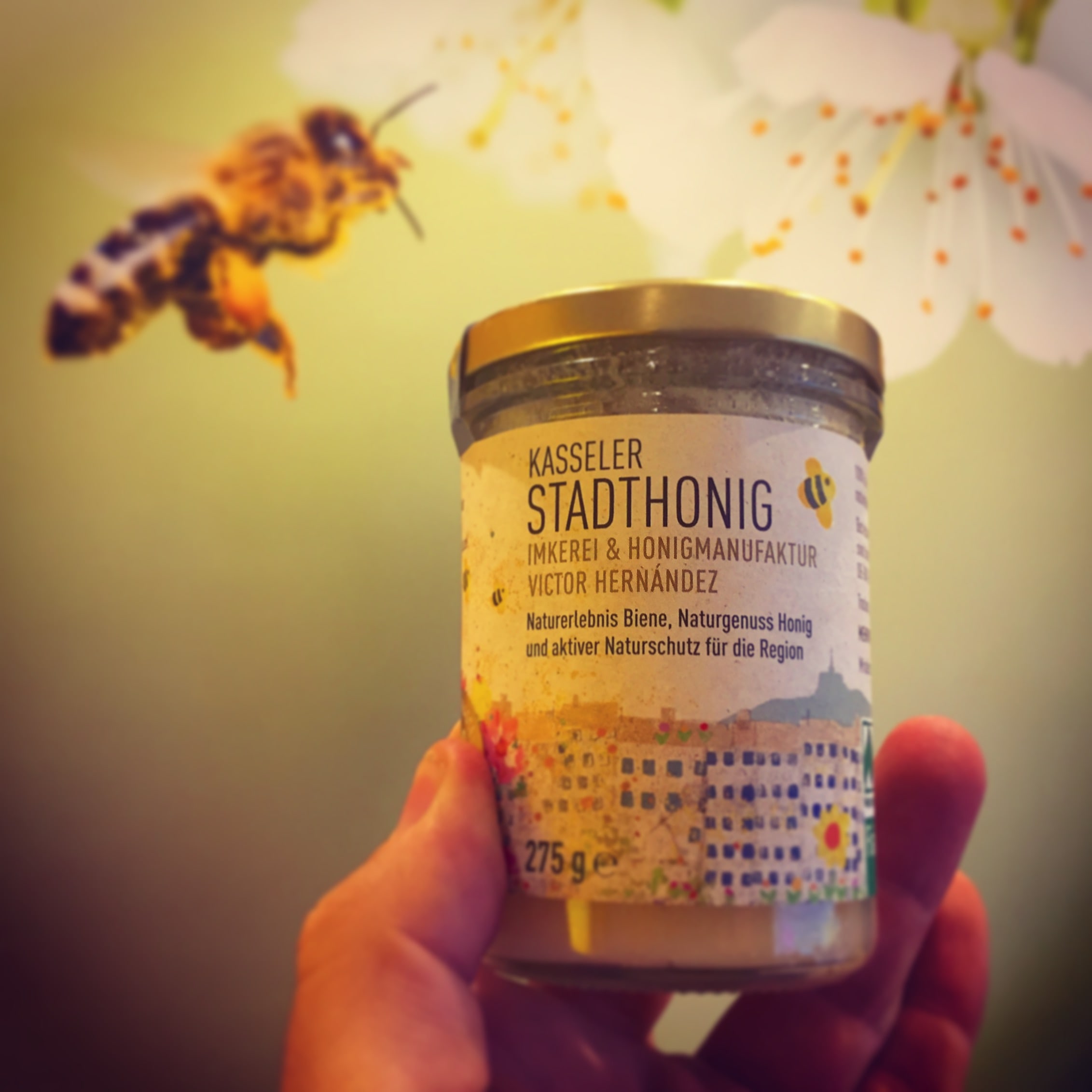 Kasseler Stadthonig – Naturerlebnis Biene, Naturgenuss Honig