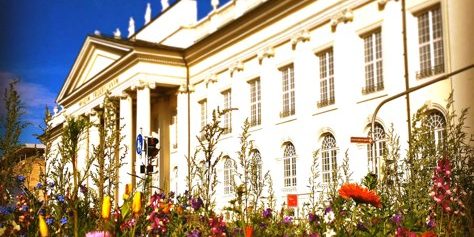 Studie über Stadtnatur